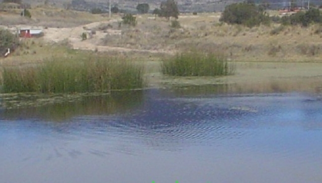 Lago de pesca